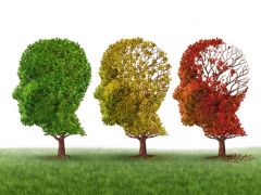 Fotolia_80738791 | Urheber freshidea