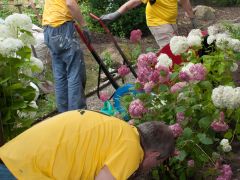 Neugestaltung des Gartenbereich im Demenz-Pflegeheim &quot;Haus am Horst&quot;