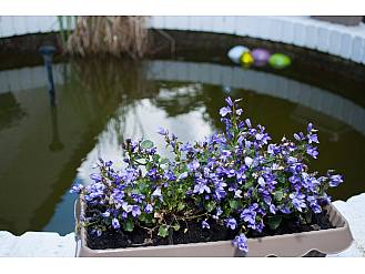 Haus am Horst, Demenz-Pflegeheim in Stuhr - bei Bremen