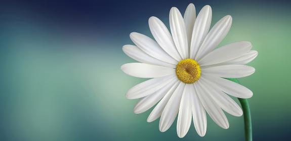 Gäsetbuch Haus am Horst für alle offen